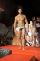 selection2014 (118)